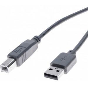 Cable USB A male vers B male